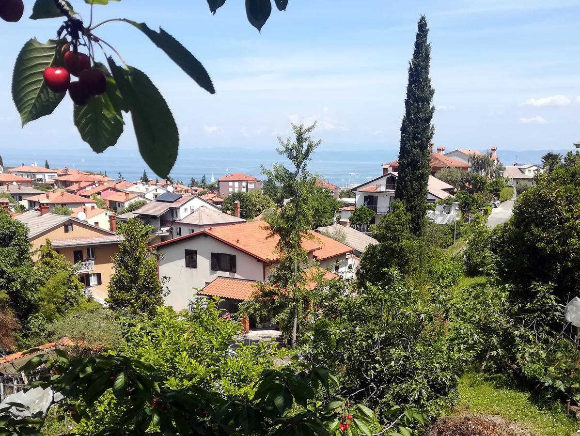 Seaside Parenzana Comfort With Free Parking Izola Exteriör bild